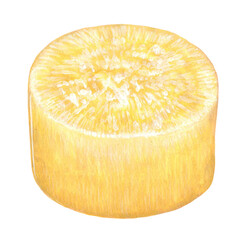 おでんの具 - だいこん