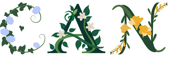CAN, Floral Monogram Alphabet Vector Print