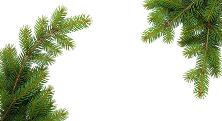 Obraz premium Pine Branch Corners on White Background for Christmas and Winter Design
