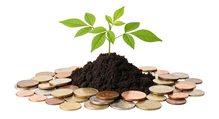 Money Growth Concept with Plant and Coins