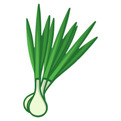 chives nature herbs plant healthy flat color vector illustration template design