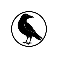 crow on a white background