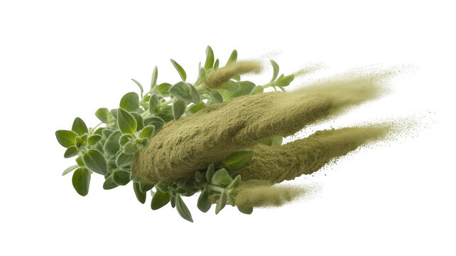 Fresh Oregano Sprigs and Powdered Herb on transparent background Black Background spice green - Powered by Adobe