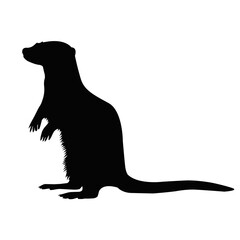 Silhouette of standing otter animal with long tail. Wild aquatic mammal illustration and wildlife nature symbol isolated on white background