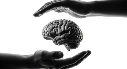 Monochrome image of a human brain cradled gently between two hands conveying protection and care.