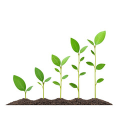 Plant growth evolution on transparent background. Business growth, success, development and profit.