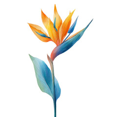 A digitally rendered bird of paradise flower, showcasing vibrant orange and blue hues, on black