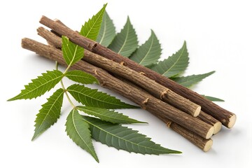Neem Sticks with Fresh Neem Leaves on White Background. Traditional Neem Datun Chew Sticks for Natural Oral Care and Herbal Dental Hygiene.