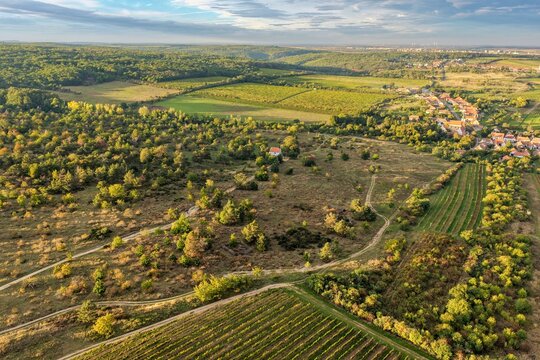 Autumn aerial view of Popice heathland and Popice wine village in the Znojmo region, Podyj&iacute; National Park, South Moravia, Czech Republic