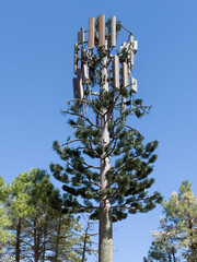 Cell phone antenna camouflaged with pine branches for low visual impact