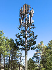Cell phone antenna camouflaged with pine branches for low visual impact