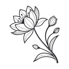 Elegant outline drawing of a blooming lotus flower with budding stems isolated on transparent background