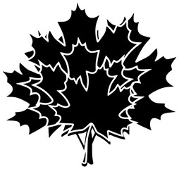 autumn illustration fall silhouette nature logo leaf icon foliage outline season orange yellow red maple october tree colorful leaves shape and vector graphic background