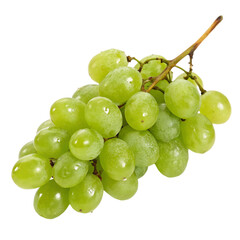 Fresh green grapes on a vine, isolated on transparent background