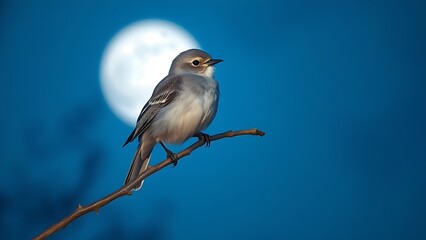 stanza. A nightingale resting on a branch under the moonlight in a serene blue night. wildlife magazines, conservation campaigns, designed for wildlife conservation campaigns.