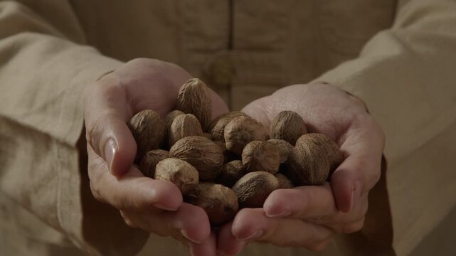 Hands holding nuts in warm light, styled for natural skincare cosmetic ingredient branding with earthy tone.