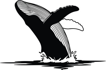 Vector Humpback whale breaching black and white silhouette illustration © Golshan Ara Monny