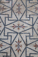In the ruins of ancient Italica