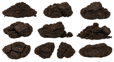 Close-up of dark dry soil pieces isolated on white background, perfect for gardening and agricultural projects