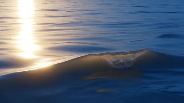 Gentle wave crests under warm golden sunlight on calm blue water