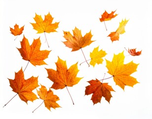 Isolated Floating Fall Leaves: Wind-Blown Effect with High Contrast and Warm Colors