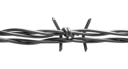 Barbed wire detail, twisted strands, sharp spikes, against a black background