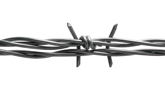 Barbed wire detail, twisted strands, sharp spikes, against a black background