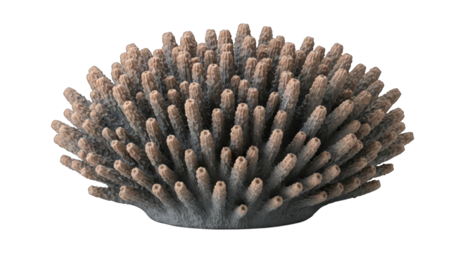 Coral formation with tube-like structures, isolated on black background