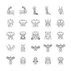 Set of bodybuilder line icons vector outline illustration for fitness and gym concepts isolated on w