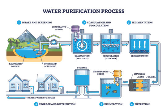 Water purification process illustrated, raw intake to filtration, disinfection, and storage, with tanks, pipes, and filters guiding flow to homes. Outline diagram