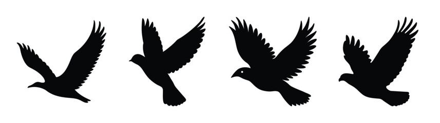 Obraz premium Dynamic sequence of a black bird in flight capturing motion and graceful wing movement