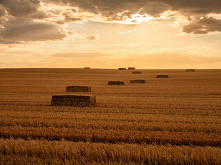 Fototapeta premium Hay bales resting on field after harvest at sunset