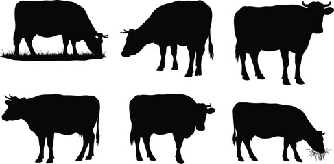 Cow silhouette vector, grazing and standing poses, black farm animal icon, livestock feeding motion, cad drawing flat vector illustration