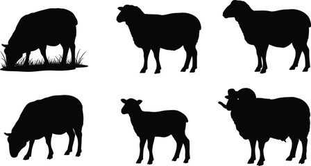 Sheep silhouette grazing, lamb and ram vector, black farm animal icon, livestock poses, cad drawing flat vector illustration