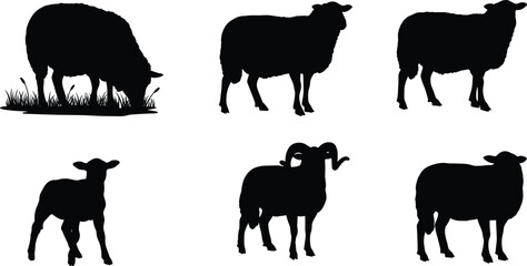 Sheep silhouette vector, grazing lamb and horned ram, black farm animal icon, livestock poses, cad drawing flat vector illustration