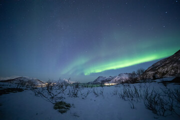 northern lights aurora borealis