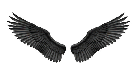 Pair of spread, dark bird wings, feathers detailed on a solid black background
