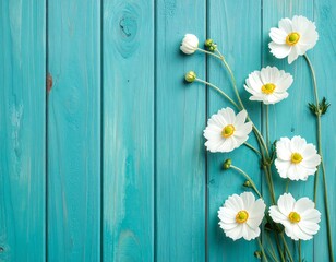 White flowers on stems, bright yellow centers on turquoise wood