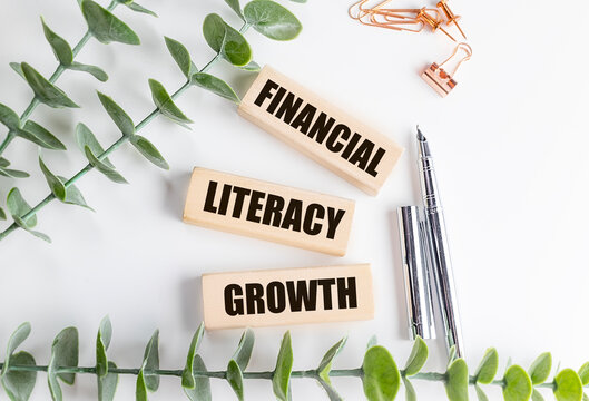 Financial literacy growth text on wooden blocks with pens, stationery and green leaves on white background