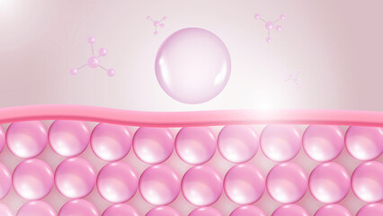 Skincare Science Hydration and Cellular Absorption