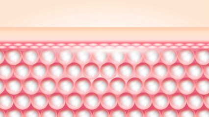 Healthy Skin Layer Structure with Active Ingredients