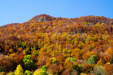 Fototapeta premium autumn colors, Frignano Regional Park, Lake Santo, Lake Baccio, colorful forests, Pievepelago, Modena