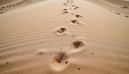 Footprints Leading Through Golden Sand Dunes Under a Clear Blue Sky in a Remote Desert Landscape
