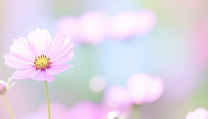 _A soft blurred background with abstract pastel florals — pink, lavender, and mint hue .