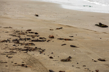 abandoned coast cluttered with debris, beach is filled with trash and debris left behind by visitors