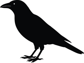 Corvid crow bird silhouette icon. Wildlife vector symbol design