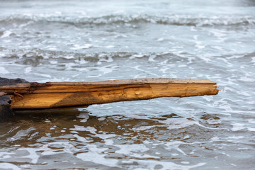 shoreline driftwood with waves, old plank caught by tide amidst foamy surf and wet reflections
