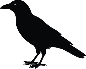 Corvid crow bird silhouette icon. Wildlife vector symbol design
