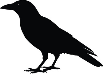 Vector raven silhouette symbol. Isolated gothic bird icon