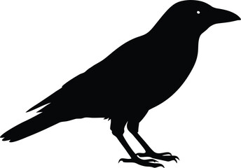 Vector raven silhouette symbol. Isolated gothic bird icon